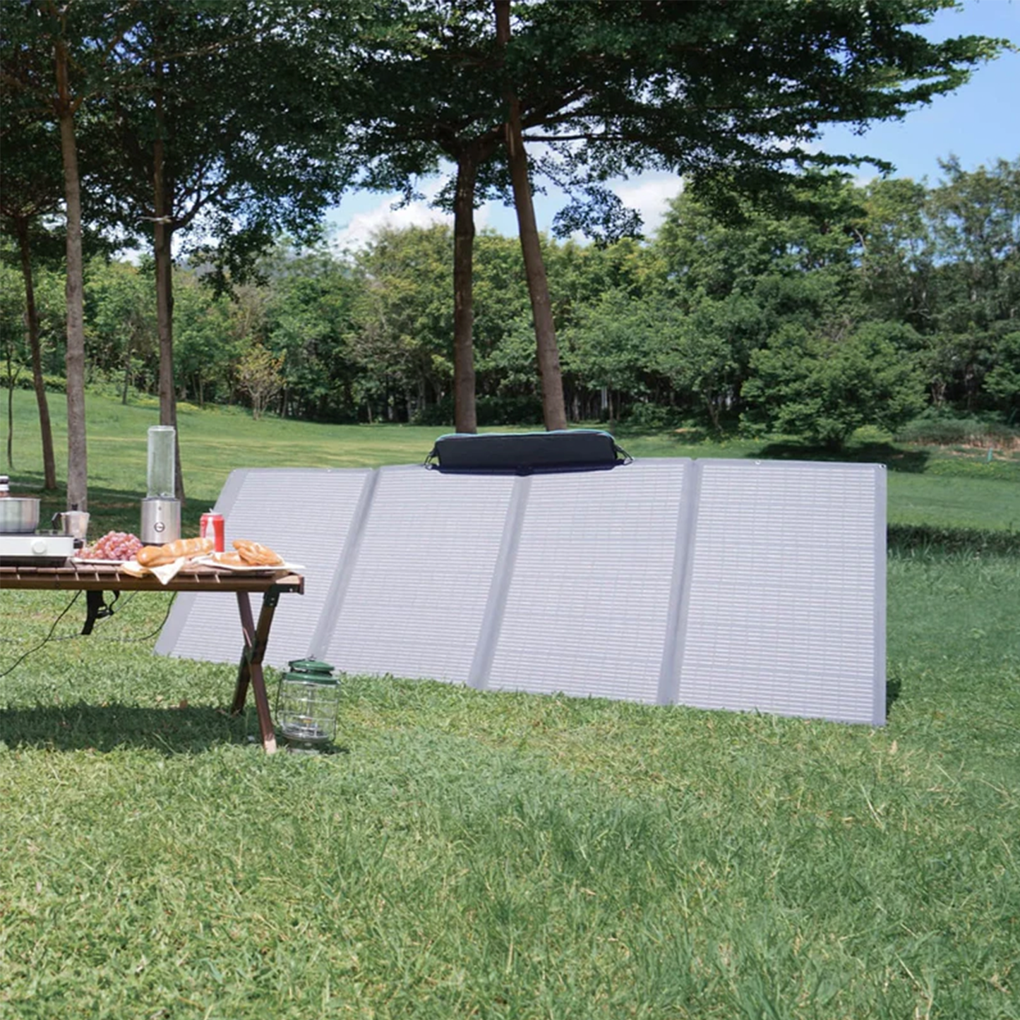 Panou Solar EcoFlow 400W