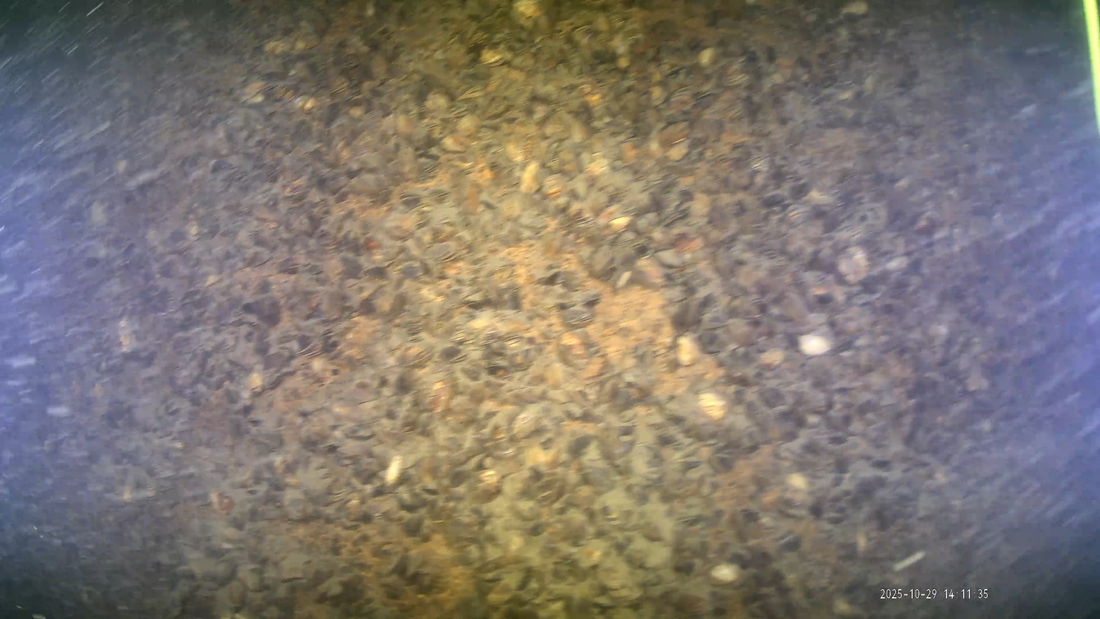 Inspecție subacvatică pentru infrastructura feroviară – Studiu de caz 2025